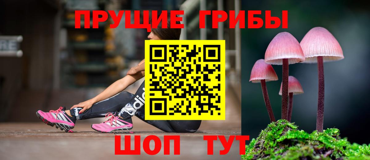 Псилоцибиновые грибы Psilocybe Верхняя Салда