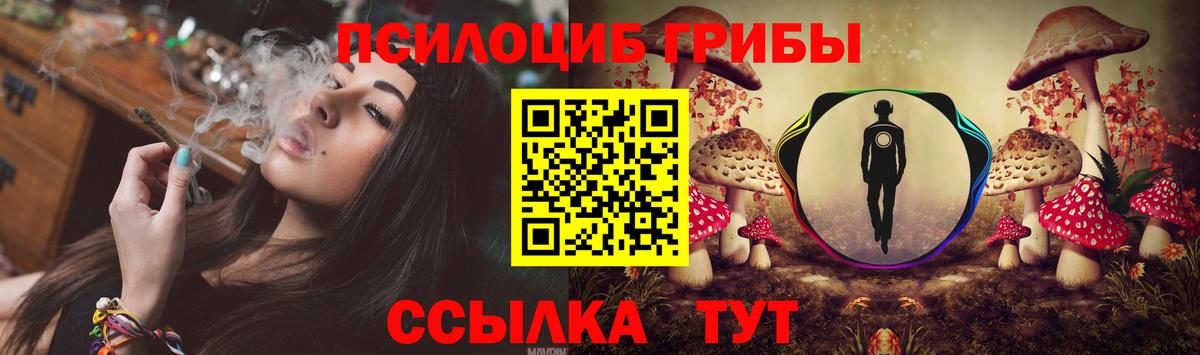Верхняя Салда  купить   Вход с VPN  Псилоцибиновые грибы GOLDEN TEACHER 